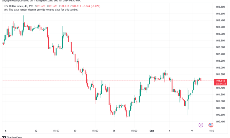 تحليل مؤشر الدولار الامريكي- Dollar Index (DXY)-1092024