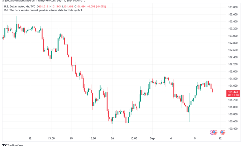 تحليل مؤشر الدولار الامريكي- Dollar Index (DXY)-1192024