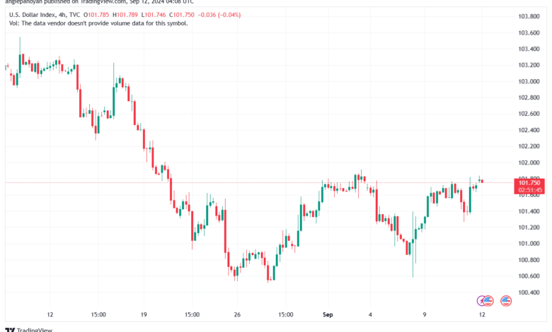 تحليل مؤشر الدولار الامريكي- Dollar Index (DXY)-1292024