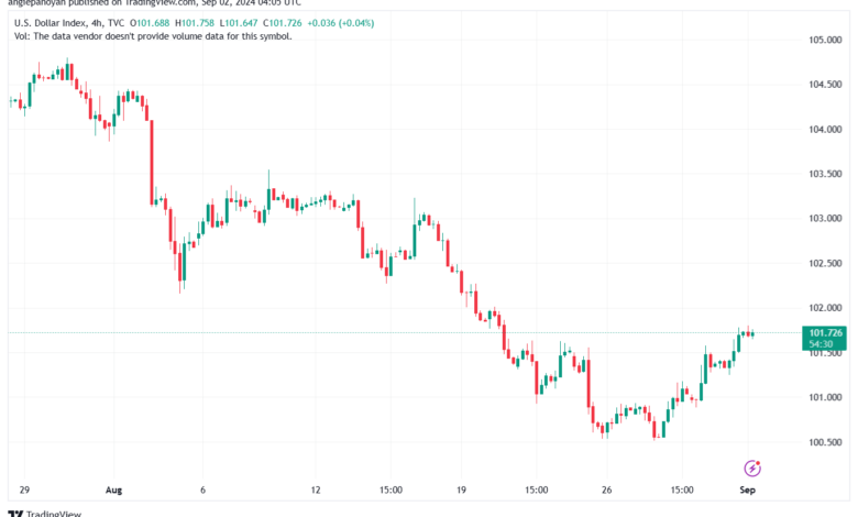 تحليل مؤشر الدولار الامريكي- Dollar Index (DXY)-292024