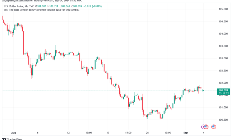 تحليل مؤشر الدولار الامريكي- Dollar Index (DXY)-492024