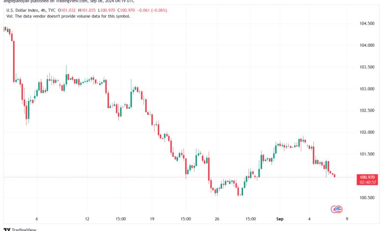 تحليل مؤشر الدولار الامريكي- Dollar Index (DXY)-692024