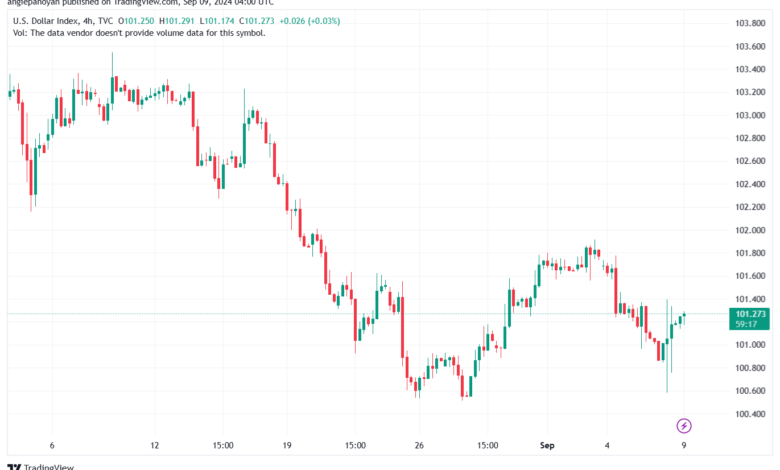 تحليل مؤشر الدولار الامريكي- Dollar Index (DXY)-992024