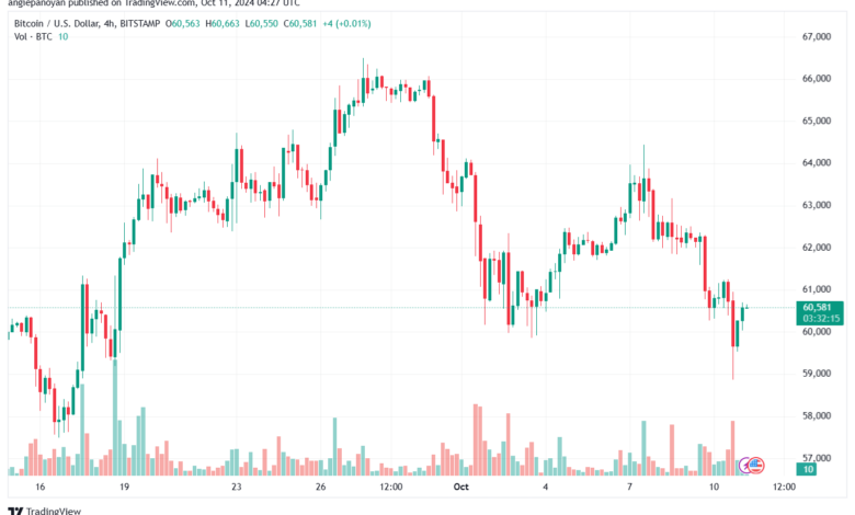 تحليل البتكوين دولار BTCUSD-11-10-2024