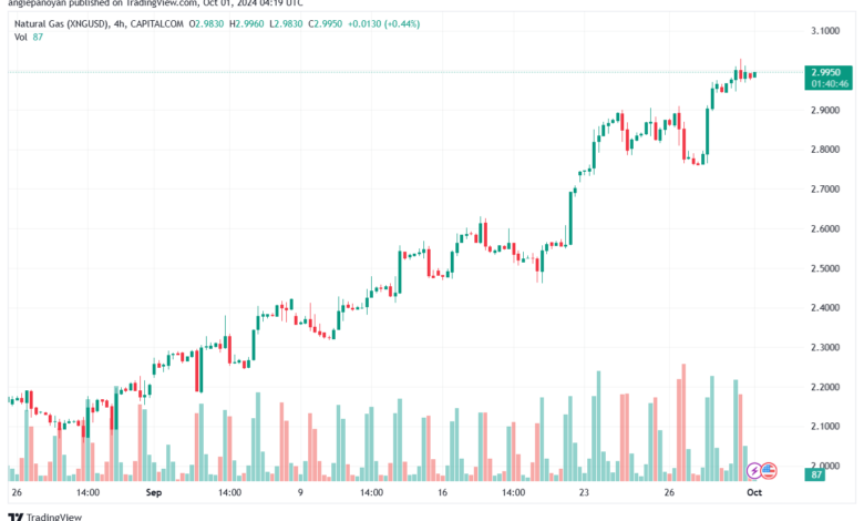 تحليل الغاز الطبيعي NATURAL GAS 1-10-24