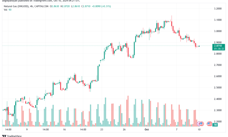 تحليل الغاز الطبيعي NATURAL GAS 10-10-24