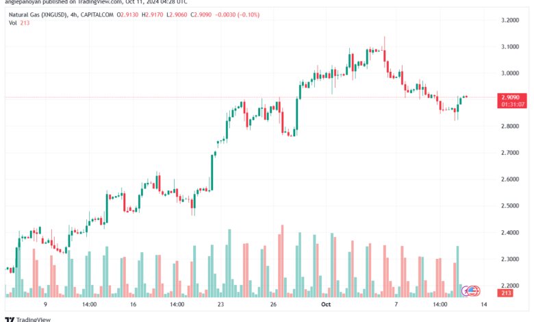 تحليل الغاز الطبيعي NATURAL GAS 11-10-24