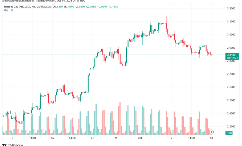 تحليل الغاز الطبيعي NATURAL GAS 14-10-24