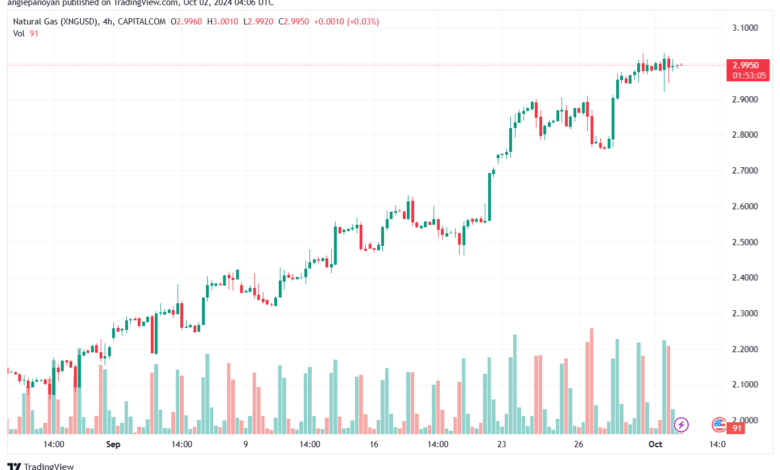 تحليل الغاز الطبيعي NATURAL GAS 2-10-24