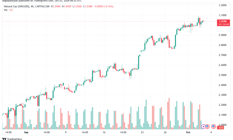 تحليل الغاز الطبيعي NATURAL GAS 3-10-24