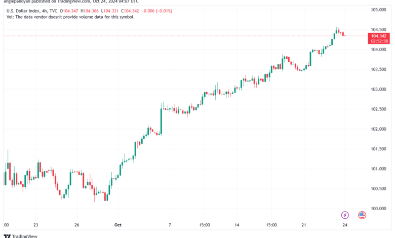 تحليل مؤشر الدولار الامريكي- Dollar Index (DXY)-24102024