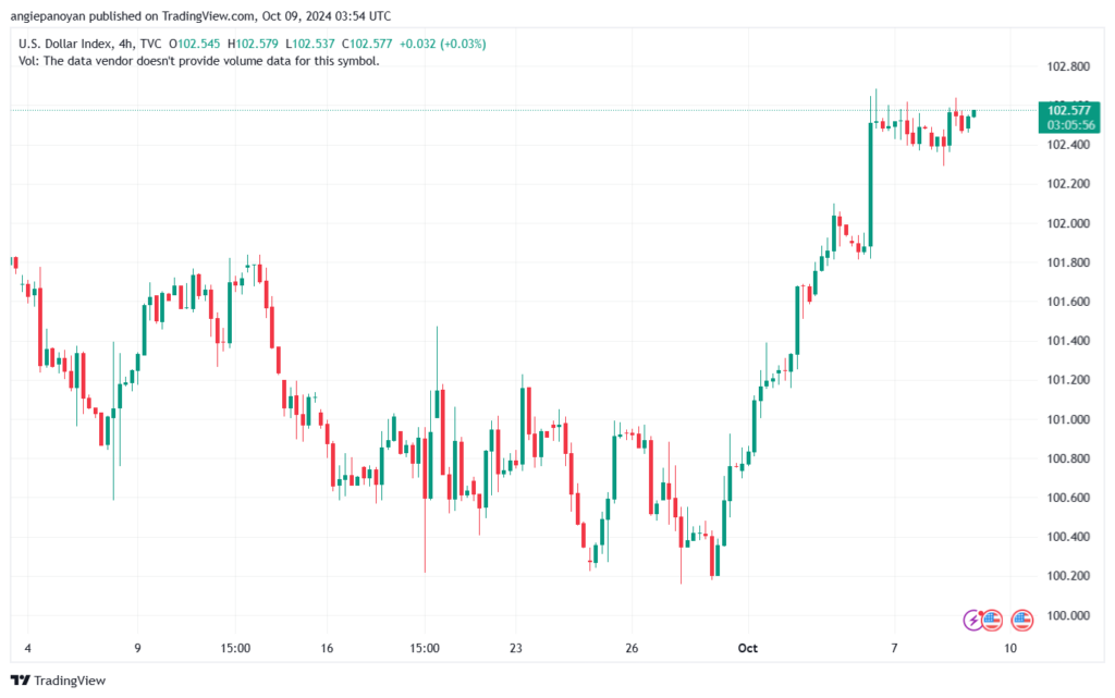 تحليل مؤشر الدولار الامريكي- Dollar Index (DXY)-9102024