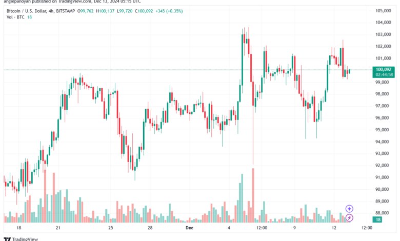 تحليل البتكوين دولار BTCUSD-13-12-2024