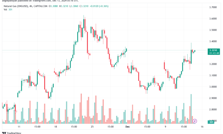 تحليل الغاز الطبيعي NATURAL GAS 13-12-24