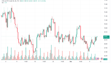 تحليل النفط CRUDE OIL -11-12-2024