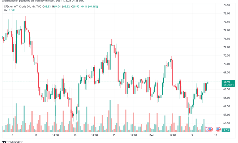 تحليل النفط CRUDE OIL -11-12-2024