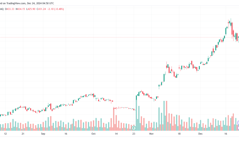 تحليل سهم تسلا الفني TSLA-24-12-2024