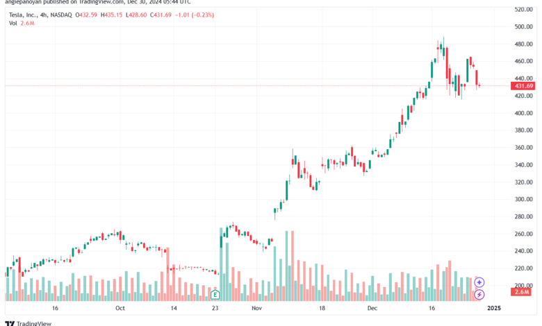 تحليل سهم تسلا الفني TSLA-30-12-2024