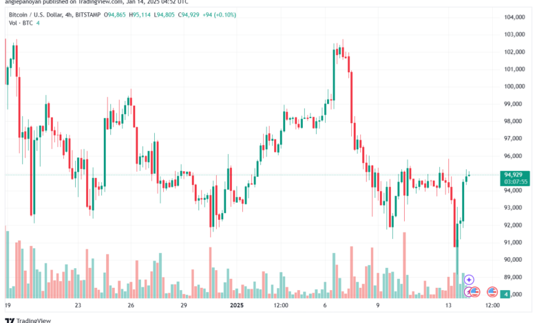 BTCUSD_2025-01-14_06-52-01-min