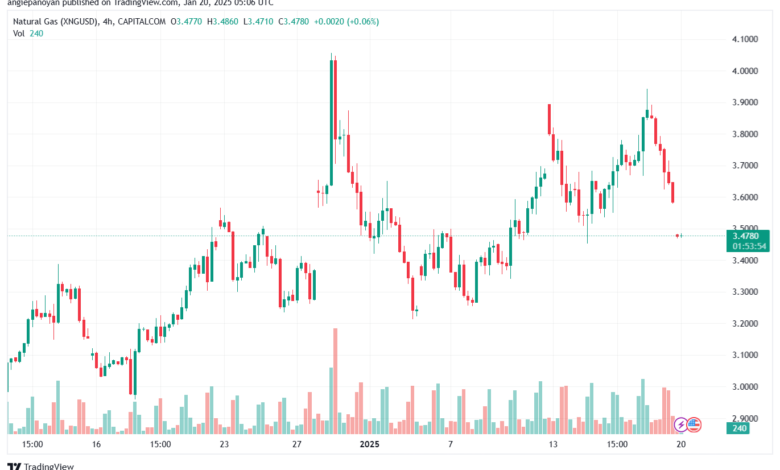 تحليل الغاز الطبيعي NATURAL GAS 20-1-2025