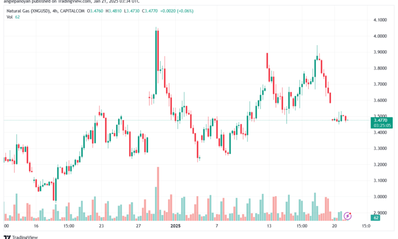 تحليل الغاز الطبيعي NATURAL GAS 21-1-2025