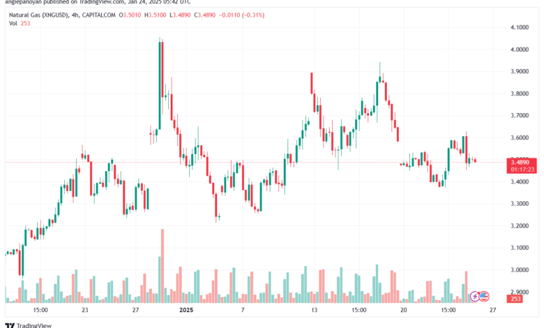 تحليل الغاز الطبيعي NATURAL GAS 24-1-2025