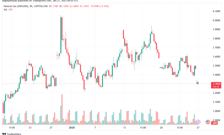 تحليل الغاز الطبيعي NATURAL GAS 27-1-2025