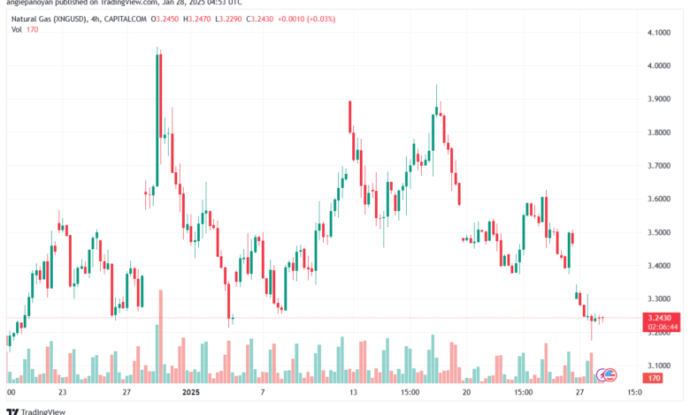 تحليل الغاز الطبيعي NATURAL GAS 28-1-2025