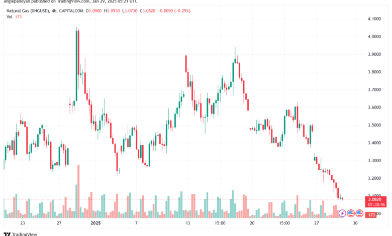 تحليل الغاز الطبيعي NATURAL GAS 29-1-2025