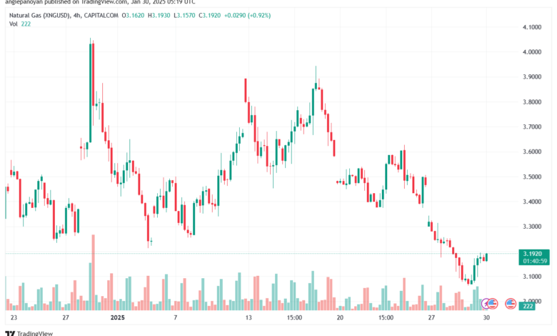 تحليل الغاز الطبيعي NATURAL GAS 30-1-2025