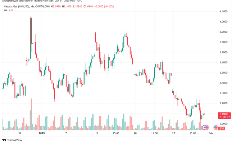 تحليل الغاز الطبيعي NATURAL GAS 31-1-2025