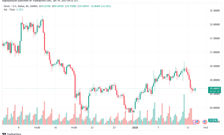 تحليل الفضة 14-1-2025 SILVER XAGUSD