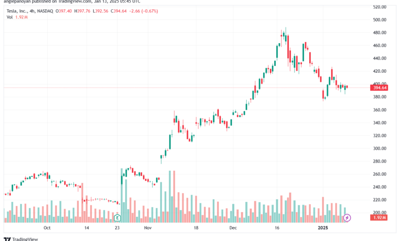 تحليل سهم تسلا الفني TSLA-13-1-2025