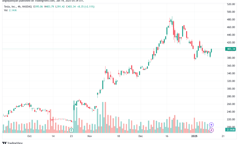 تحليل سهم تسلا الفني TSLA-14-1-2025