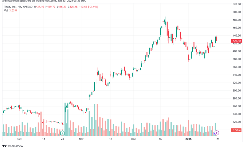 تحليل سهم تسلا الفني TSLA-20-1-2025