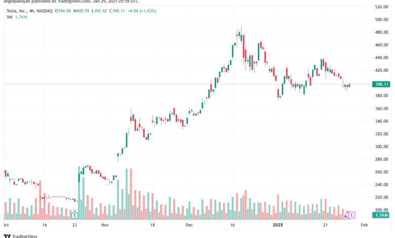 تحليل سهم تسلا الفني TSLA-29-1-2025