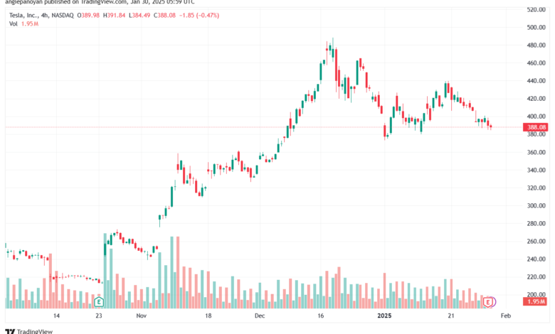 تحليل سهم تسلا الفني TSLA-30-1-2025