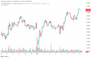 تحليل-NZDUSD-21-2-2025