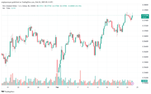 تحليل-NZDUSD-24-2-2025