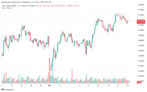 تحليل-NZDUSD-25-2-2025