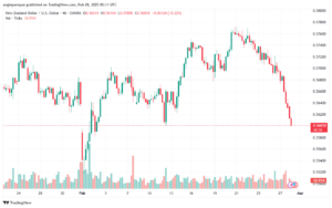 تحليل-NZDUSD-28-2-2025