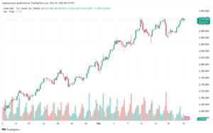 تحليل الذهب-XAUUSD-19-2-2025