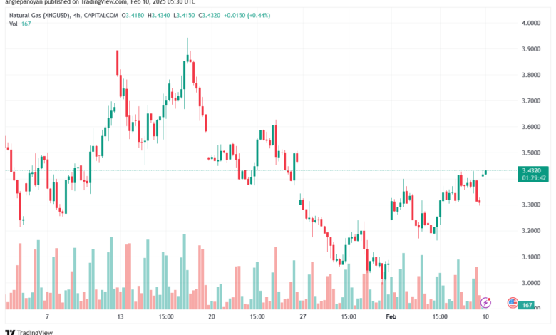 تحليل الغاز الطبيعي NATURAL GAS 10-2-2025