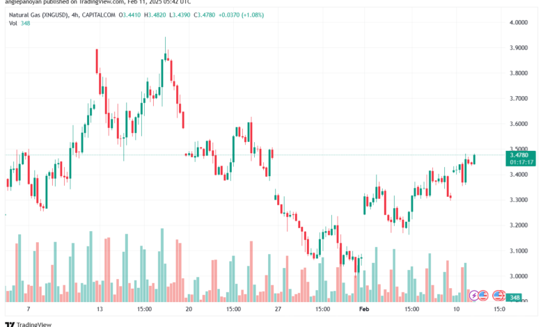 تحليل الغاز الطبيعي NATURAL GAS 11-2-2025