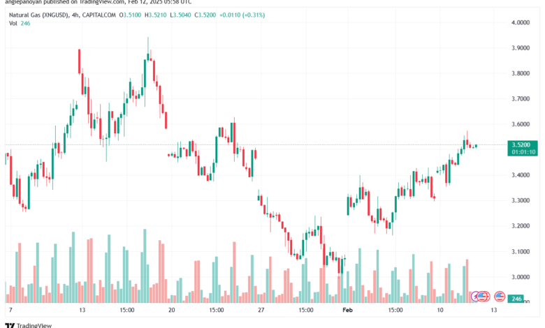 تحليل الغاز الطبيعي NATURAL GAS 12 -2-2025