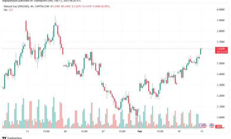 تحليل الغاز الطبيعي NATURAL GAS 13-2-2025