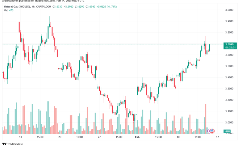 تحليل الغاز الطبيعي NATURAL GAS 14-2-2025