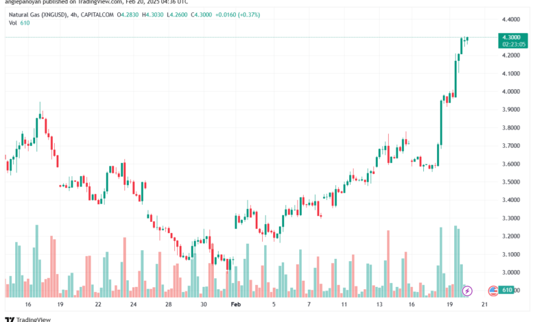 تحليل الغاز الطبيعي NATURAL GAS 20-2-2025