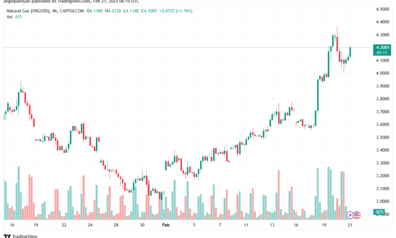 تحليل الغاز الطبيعي NATURAL GAS 21-2-2025