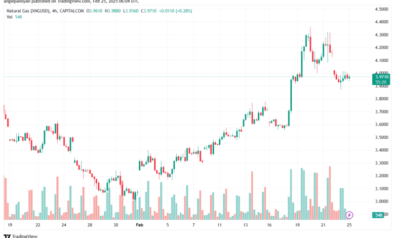 تحليل الغاز الطبيعي NATURAL GAS 25-2-2025